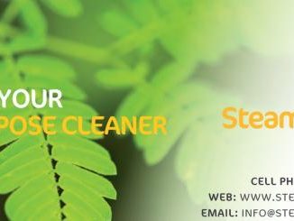 steamcleanz marlborough business details